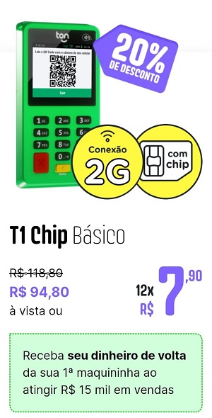  T1 Chip Básico